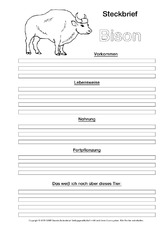 Bison-Steckbriefvorlage-sw.pdf